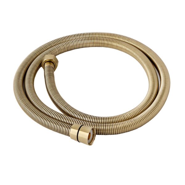 Stainless Steel Shower Hose 1.5m Brushed Brass